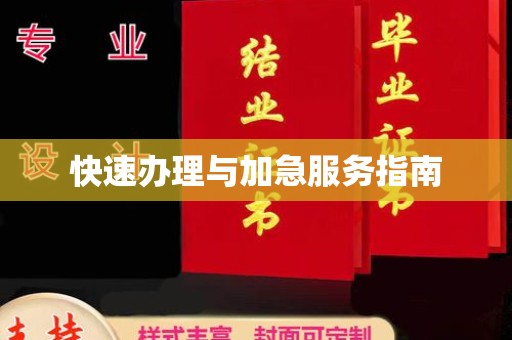 历下快速办理与加急服务指南