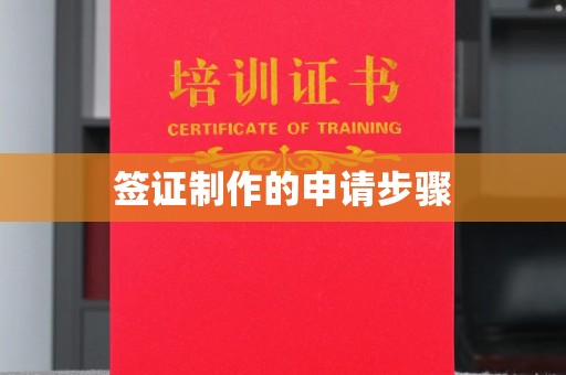 历下签证制作的申请步骤