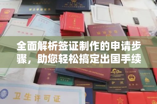 历下全面解析签证制作的申请步骤，助您轻松搞定出国手续