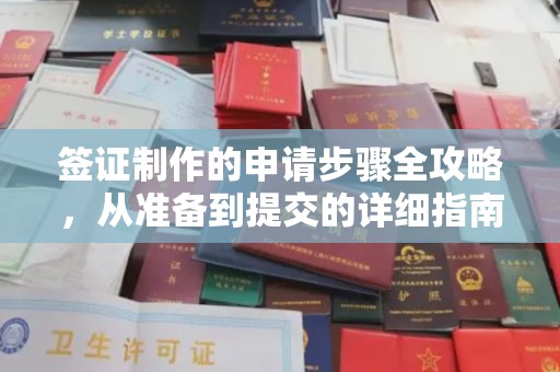 历下签证制作的申请步骤全攻略，从准备到提交的详细指南