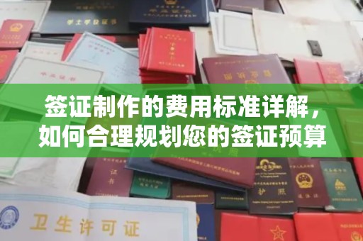 历下签证制作的费用标准详解，如何合理规划您的签证预算
