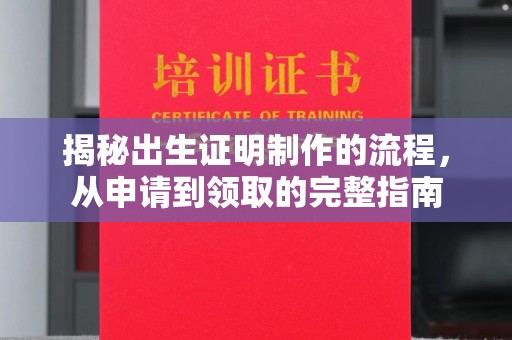 历下揭秘出生证明制作的流程，从申请到领取的完整指南