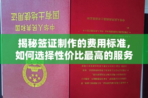 历下揭秘签证制作的费用标准，如何选择性价比最高的服务？